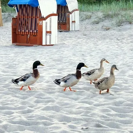 Дом отдыха Summer House By The Sea Comfortable *